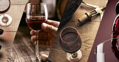 La storia dei vini in Italia